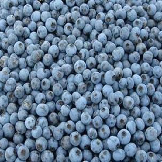 Blueberries IQF - 25 lbs